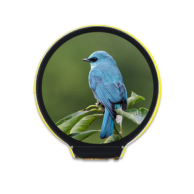 Goede prijs. 1,28 het Schermmodule LVGL van TFT LCD van de Duim240x240 Resolutie zonder Aanraking online