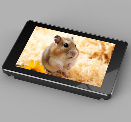 73.4*49.0 mm Effectief beeldscherm LCD-scherm met RGB 65K-kleur